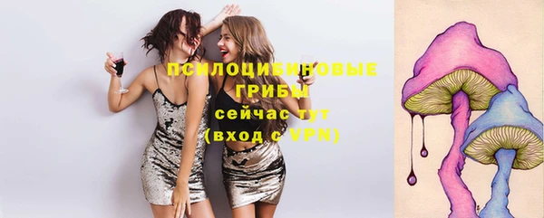 мяу мяу мука Верхнеуральск