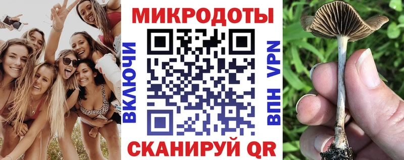 Галлюциногенные грибы Magic Shrooms  Купить где  Перевоз 